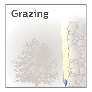 grazing